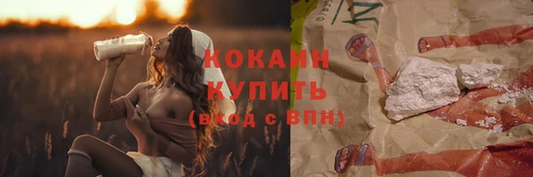 дживик Абинск