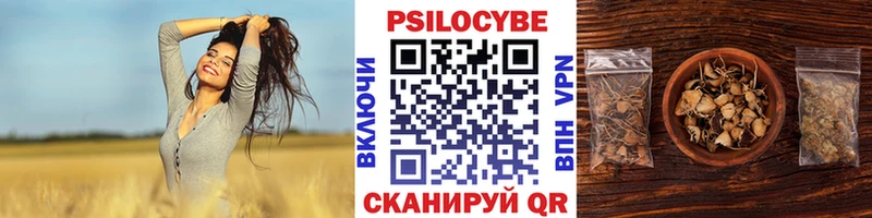 нарко площадка телеграм  Северодвинск  Псилоцибиновые грибы MAGIC MUSHROOMS 